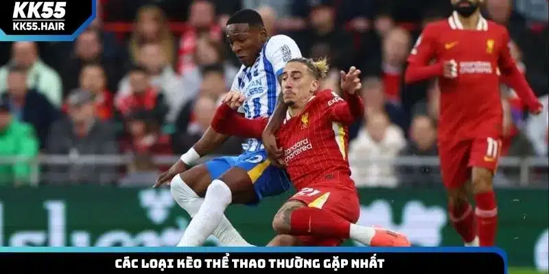 Các loại kèo thể thao thường gặp nhất
