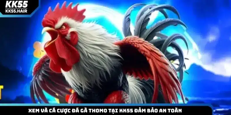 Xem và cá cược đá gà Thomo tại KK55 đảm bảo an toàn