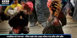 Trường gà tho mo